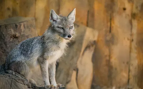 Tierpark Recklinghausen