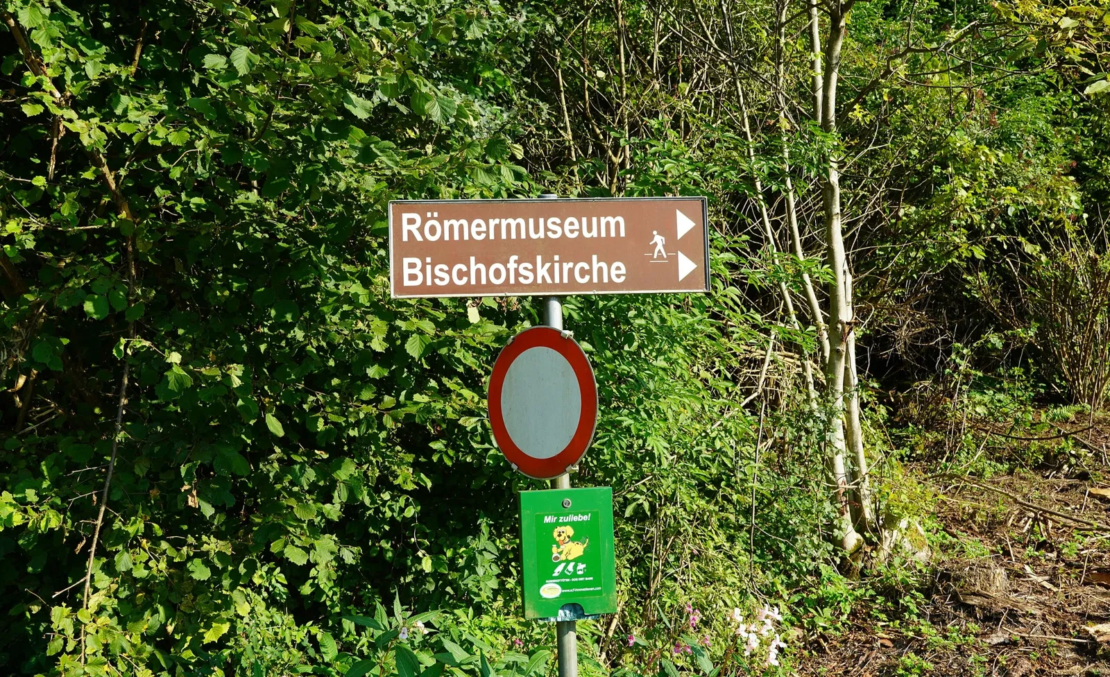 Roman Museum Teurnia