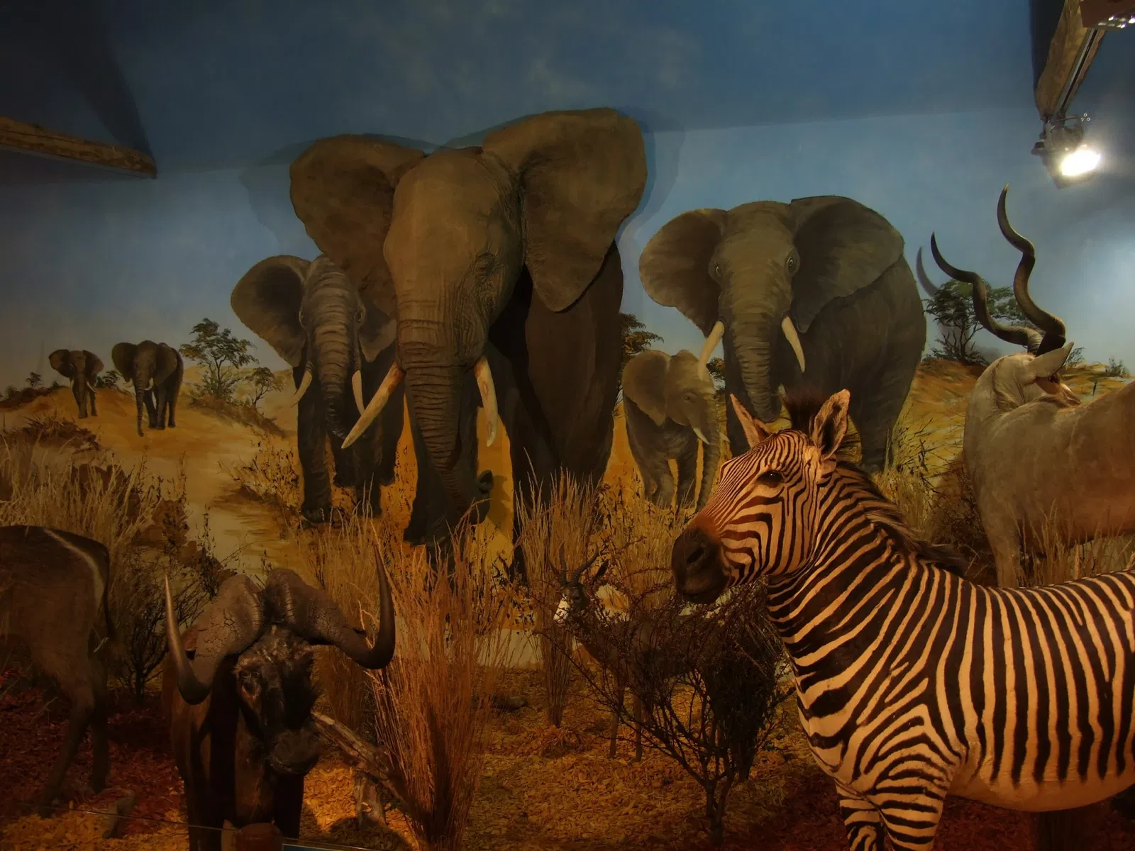 Alpen Wildpark Feld am See