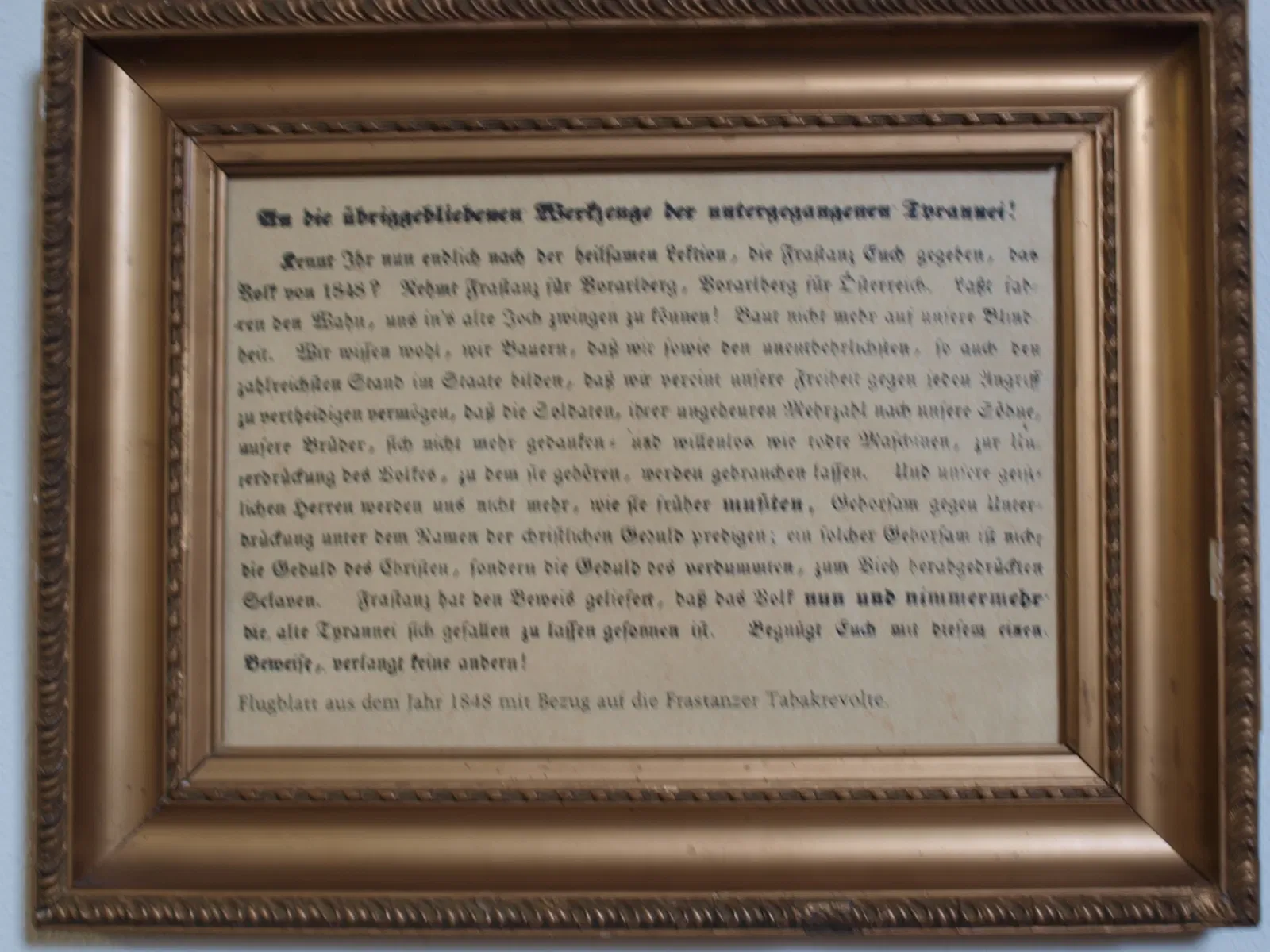 Vorarlberger Museumswelt