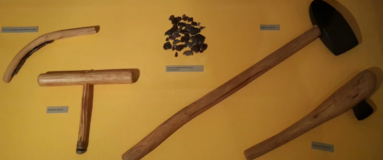 Museum für Urgeschichte