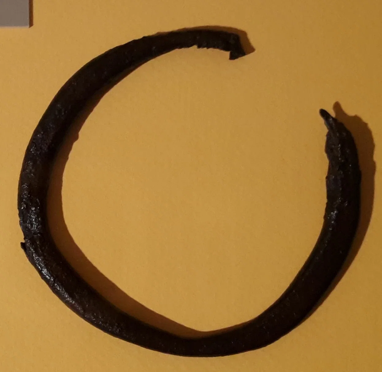 Museum für Urgeschichte