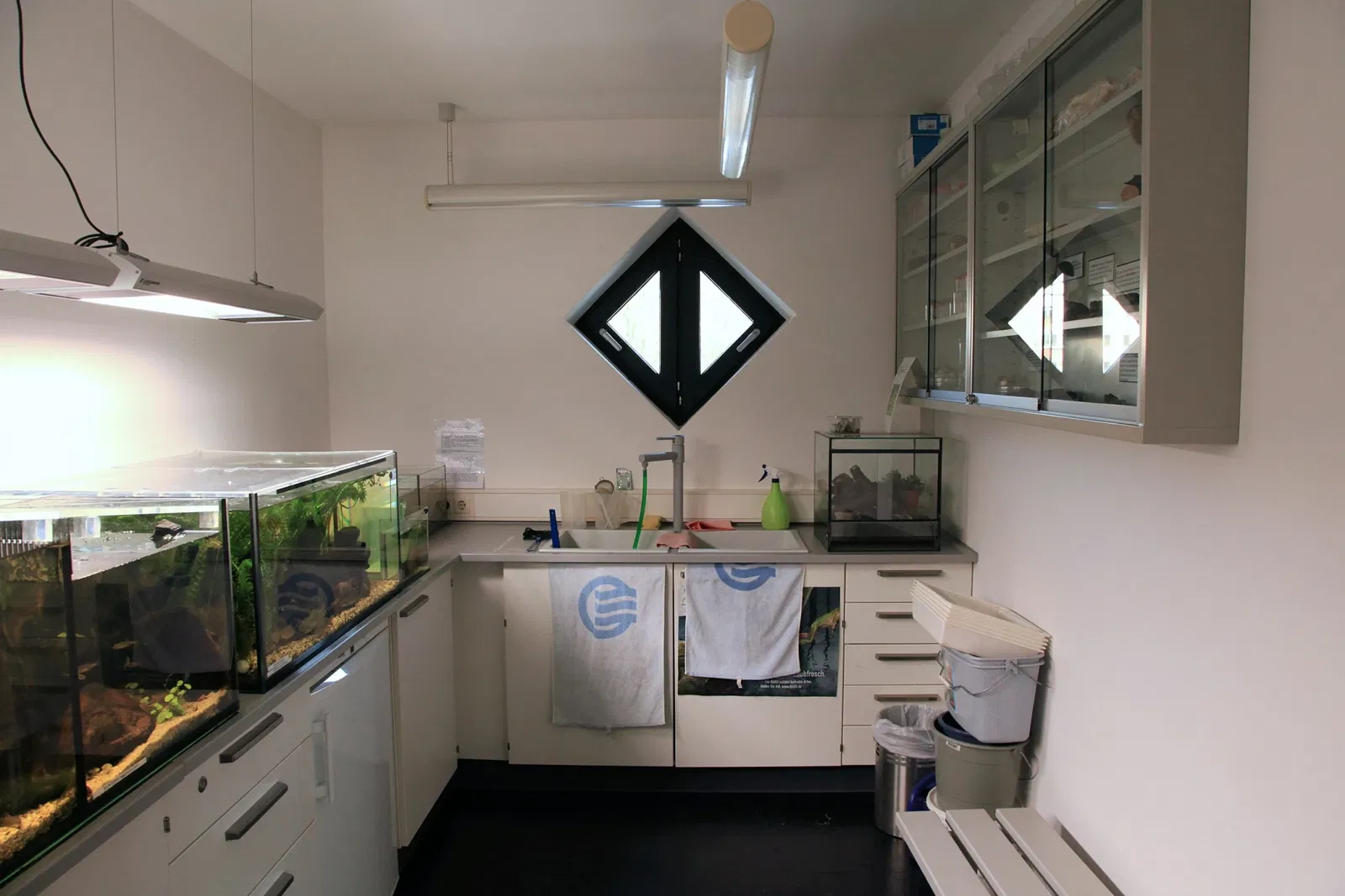 Haus Ruhrnatur (Naturkundemuseum)