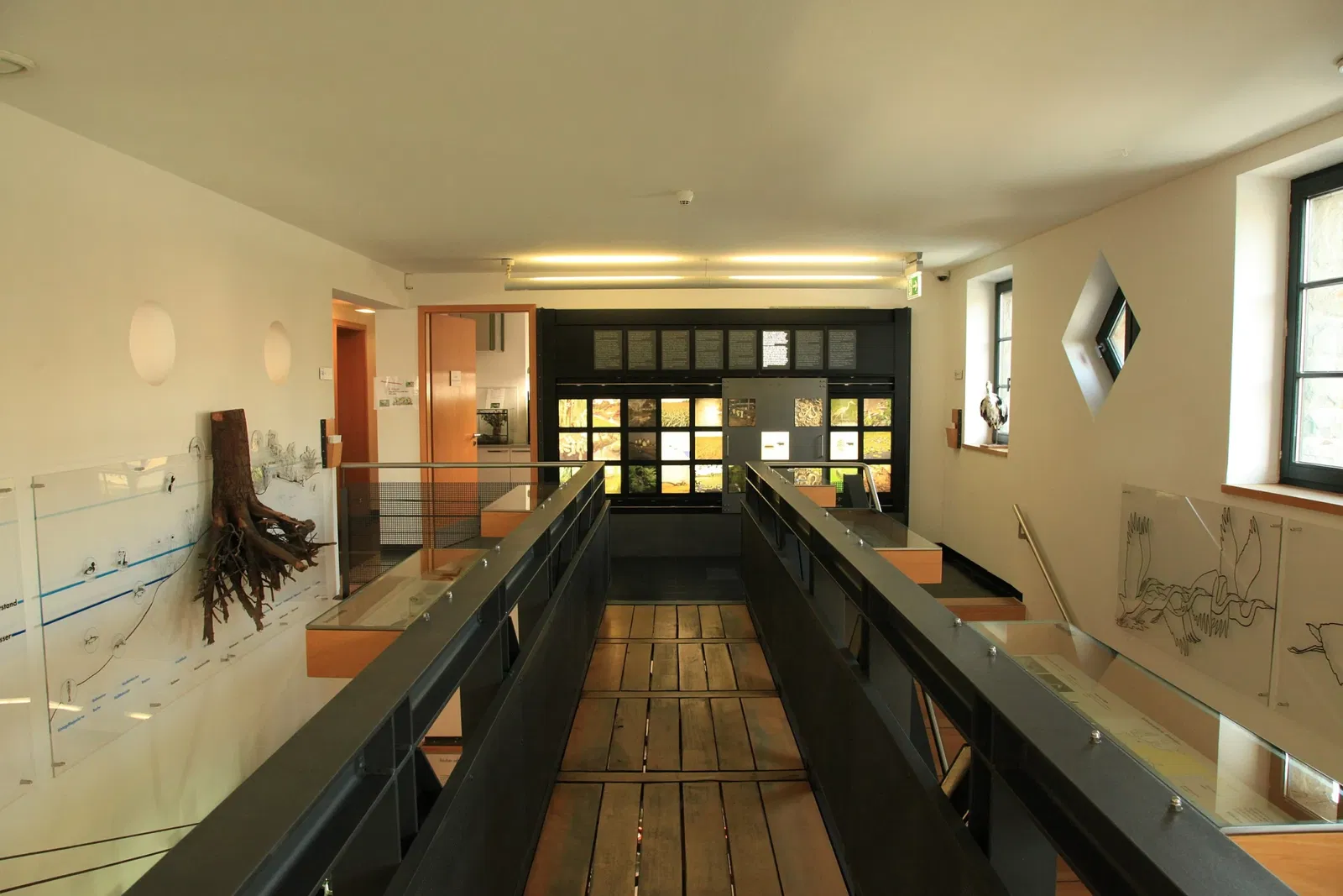 Haus Ruhrnatur (Naturkundemuseum)