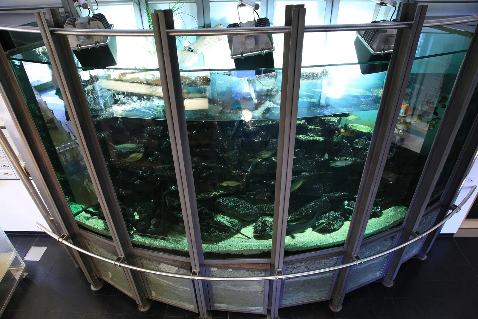 Haus Ruhrnatur (Naturkundemuseum)