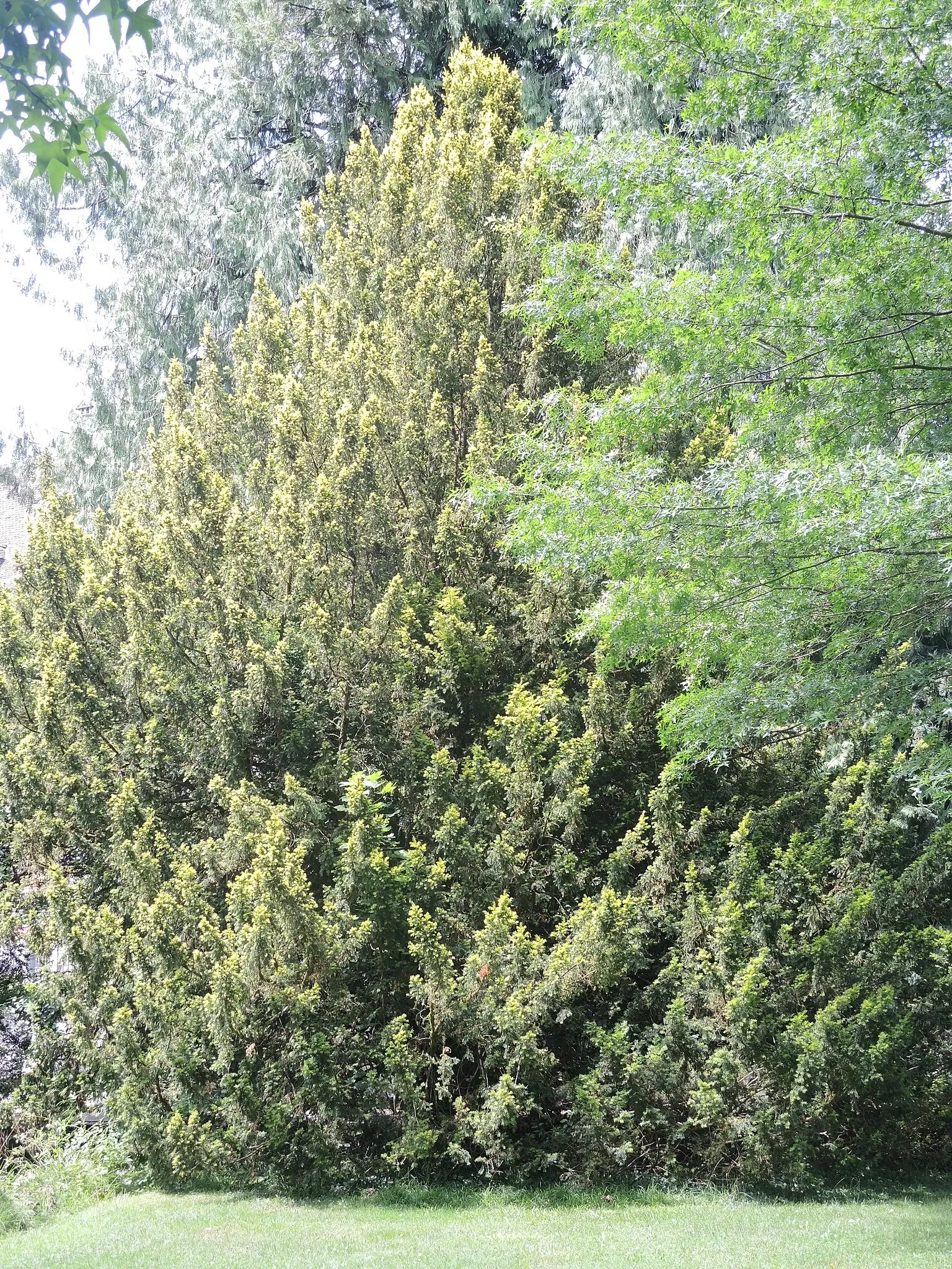 Schweizer Museum für Wild und Jagd