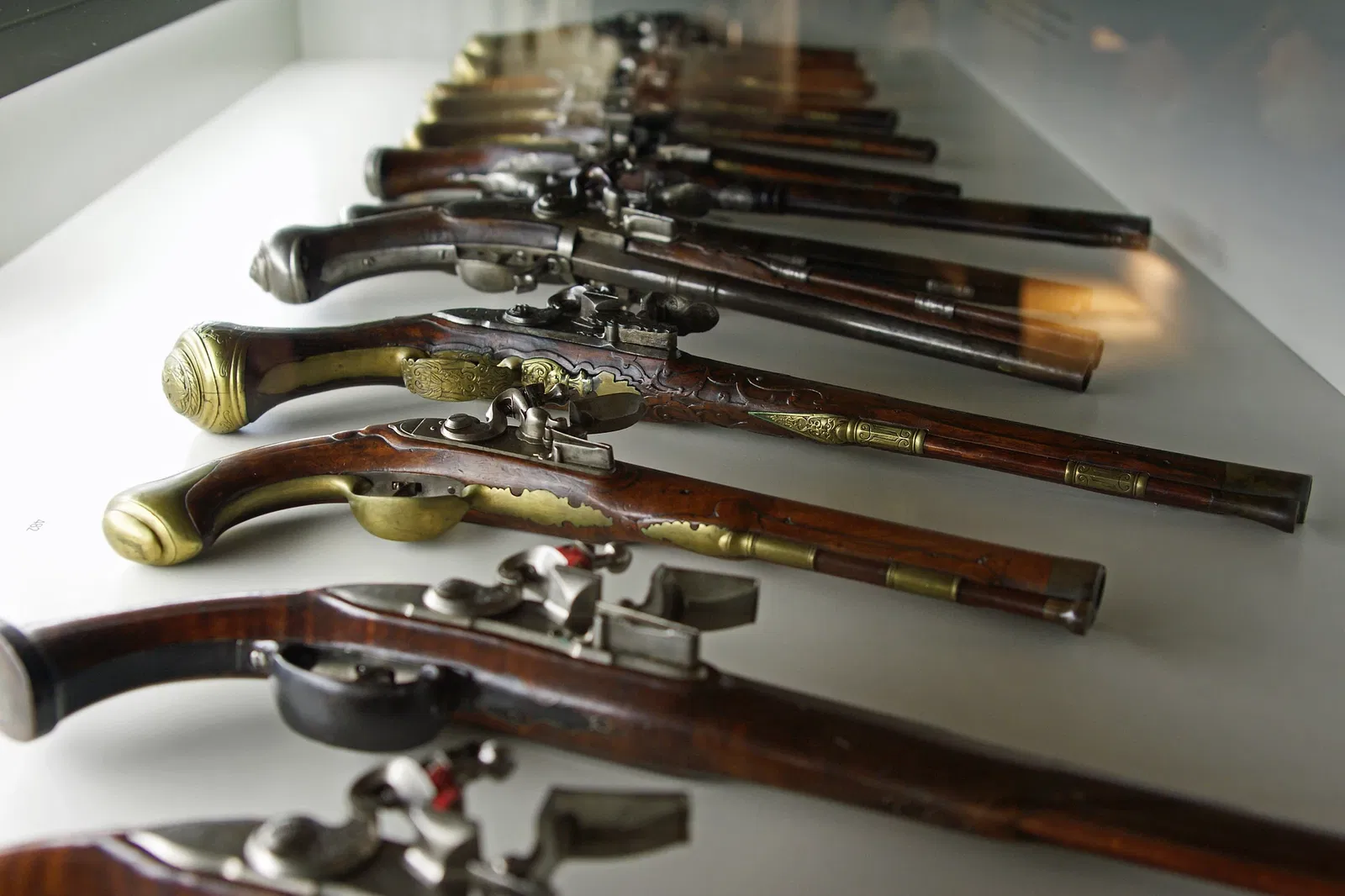 Schweizer Museum für Wild und Jagd