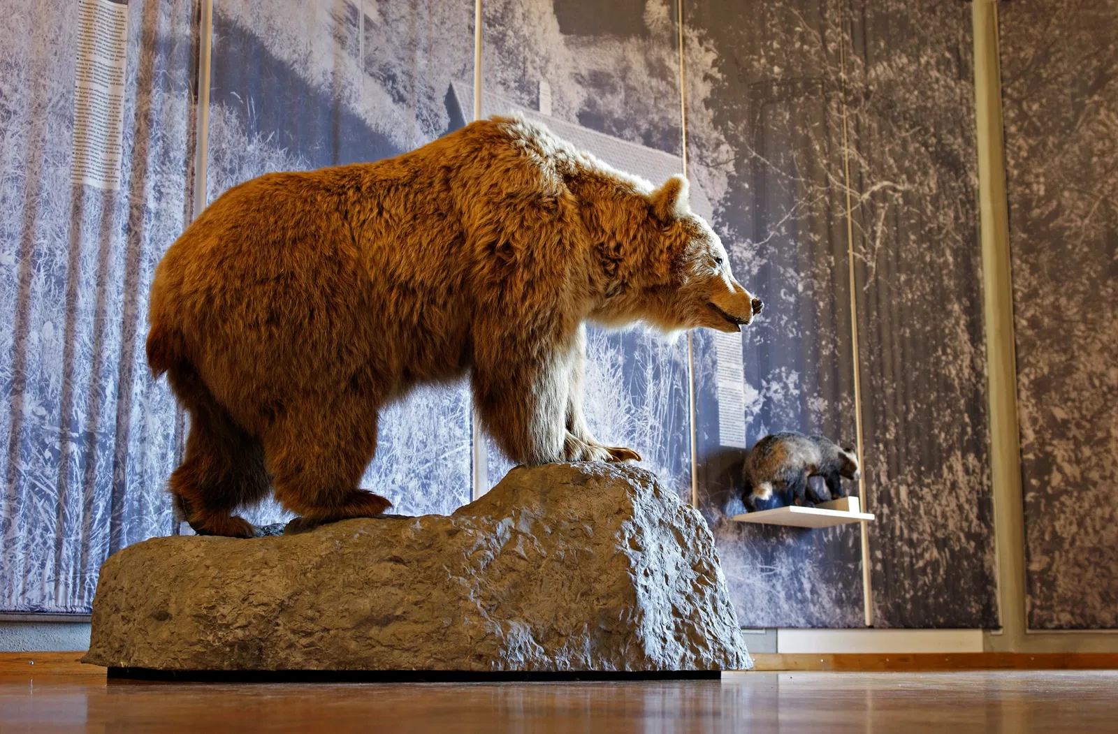 Schweizer Museum für Wild und Jagd