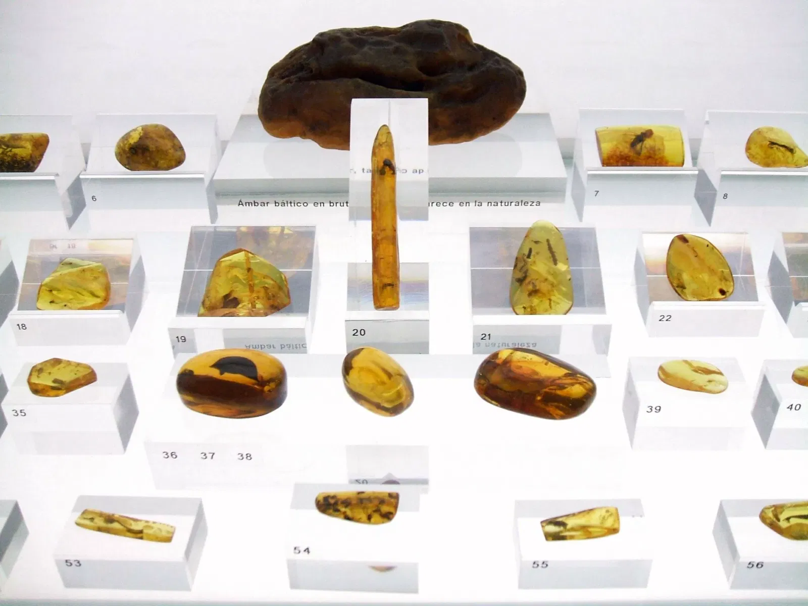 Museo de Ciencias Naturales de Álava