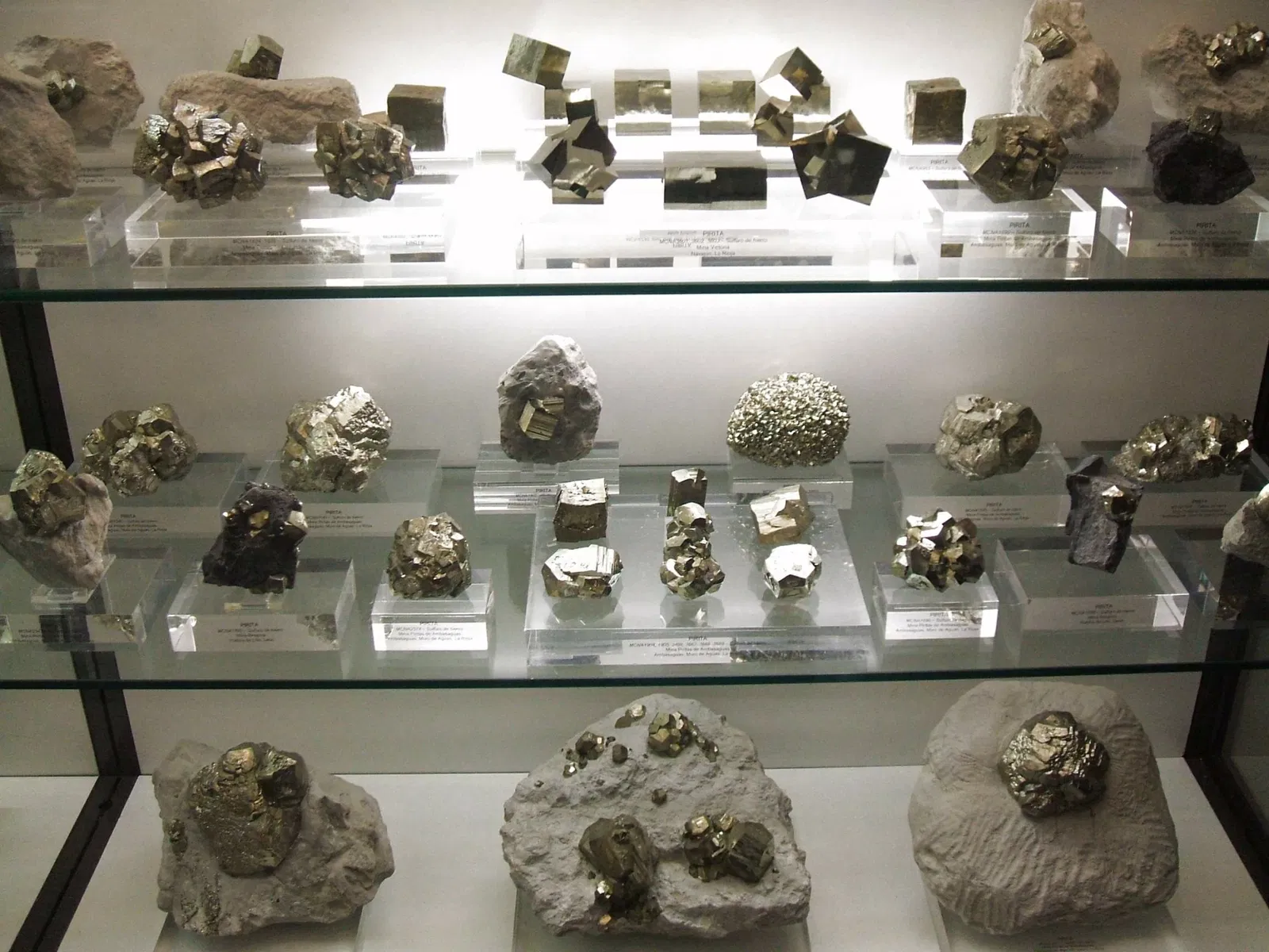 Museo de Ciencias Naturales de Álava