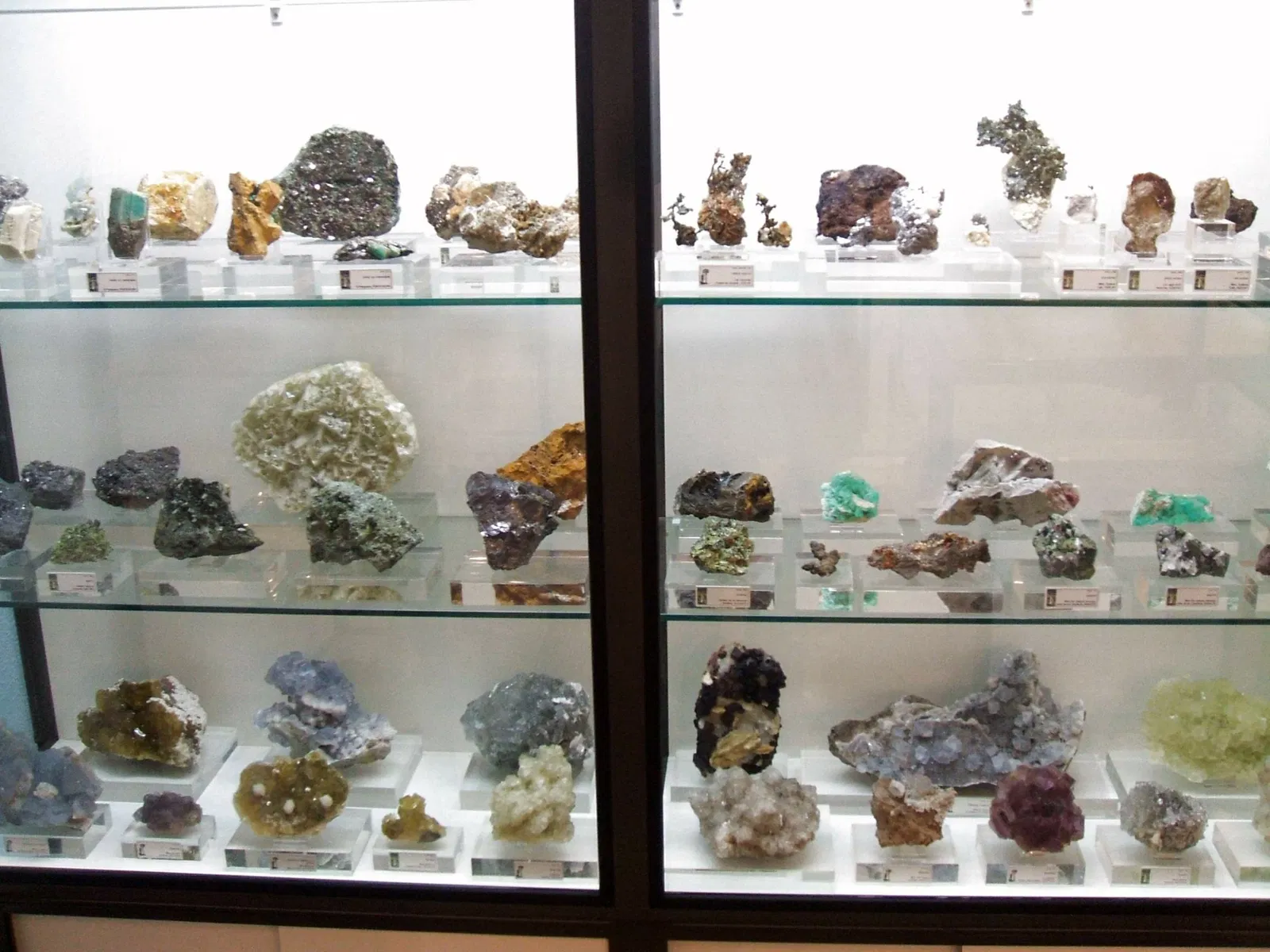 Museum of Natural Sciences of Álava