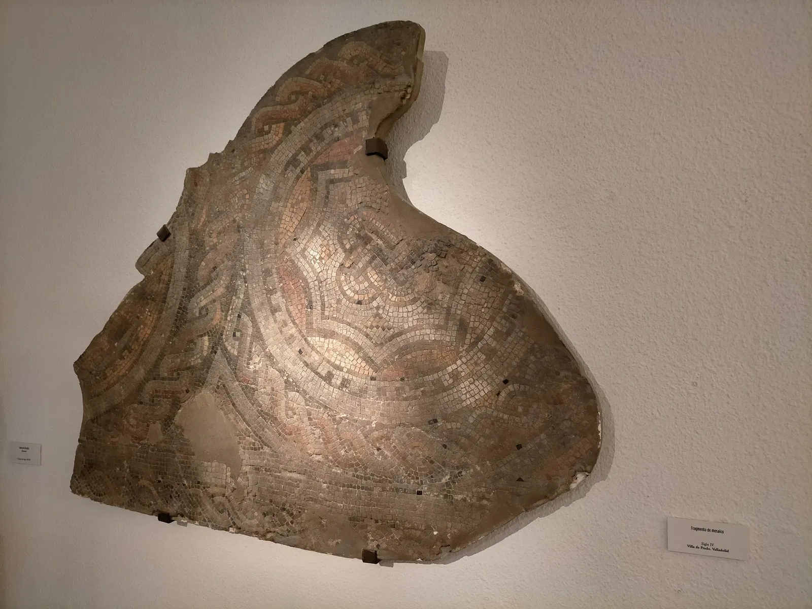 Musée de Valladolid