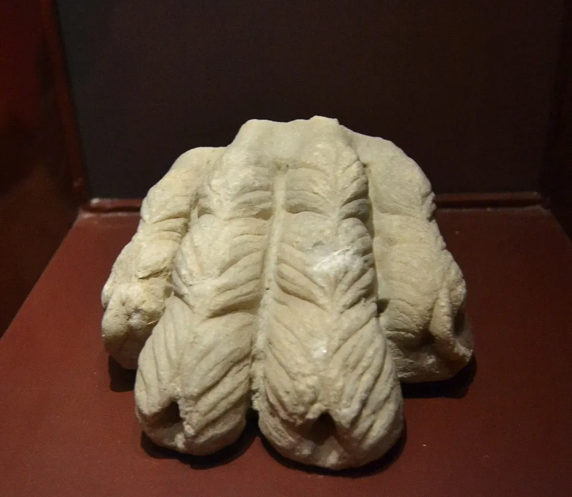 Museo Arqueológico y de Historia de Elche