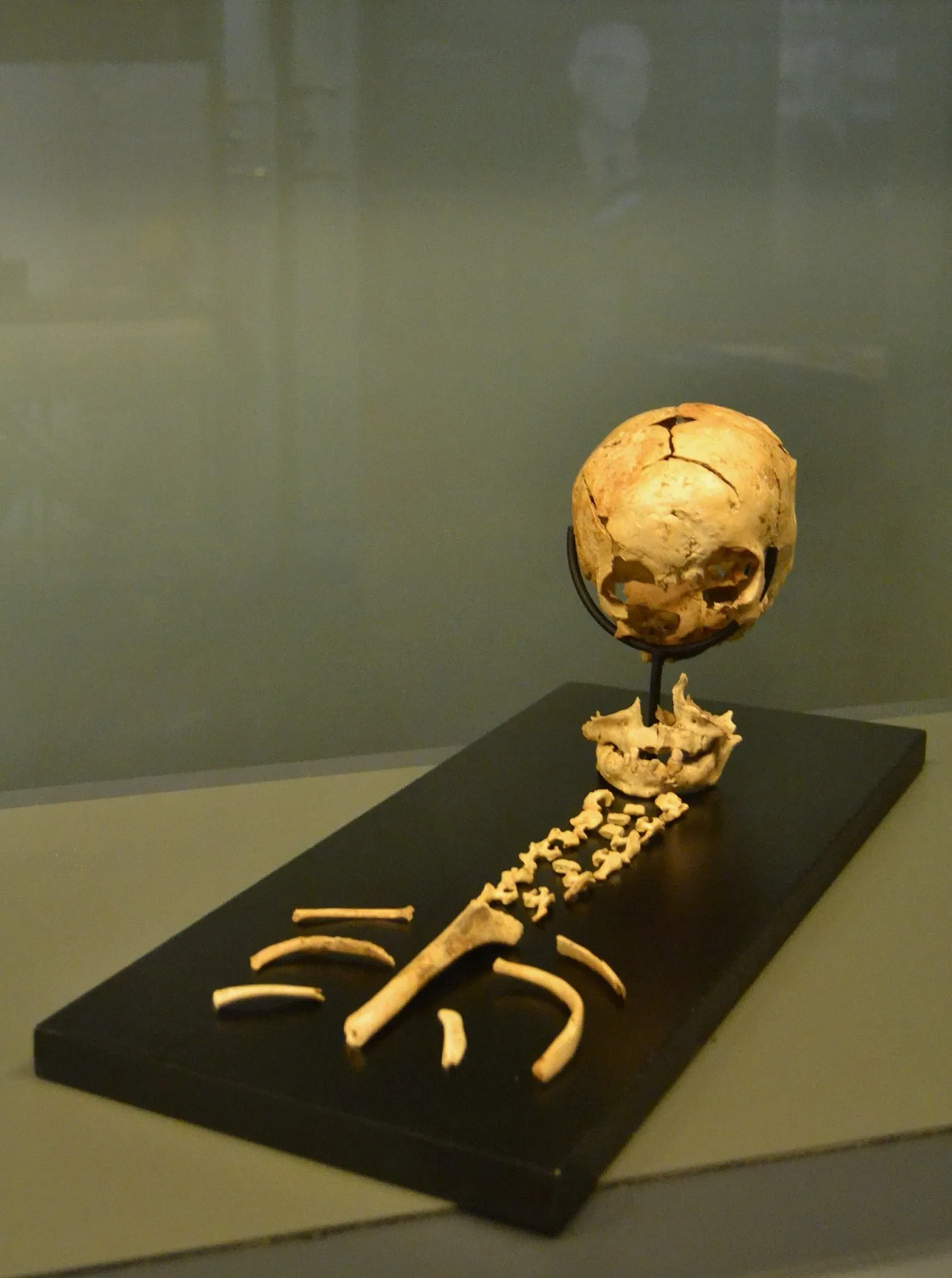 Museo Arqueológico y de Historia de Elche