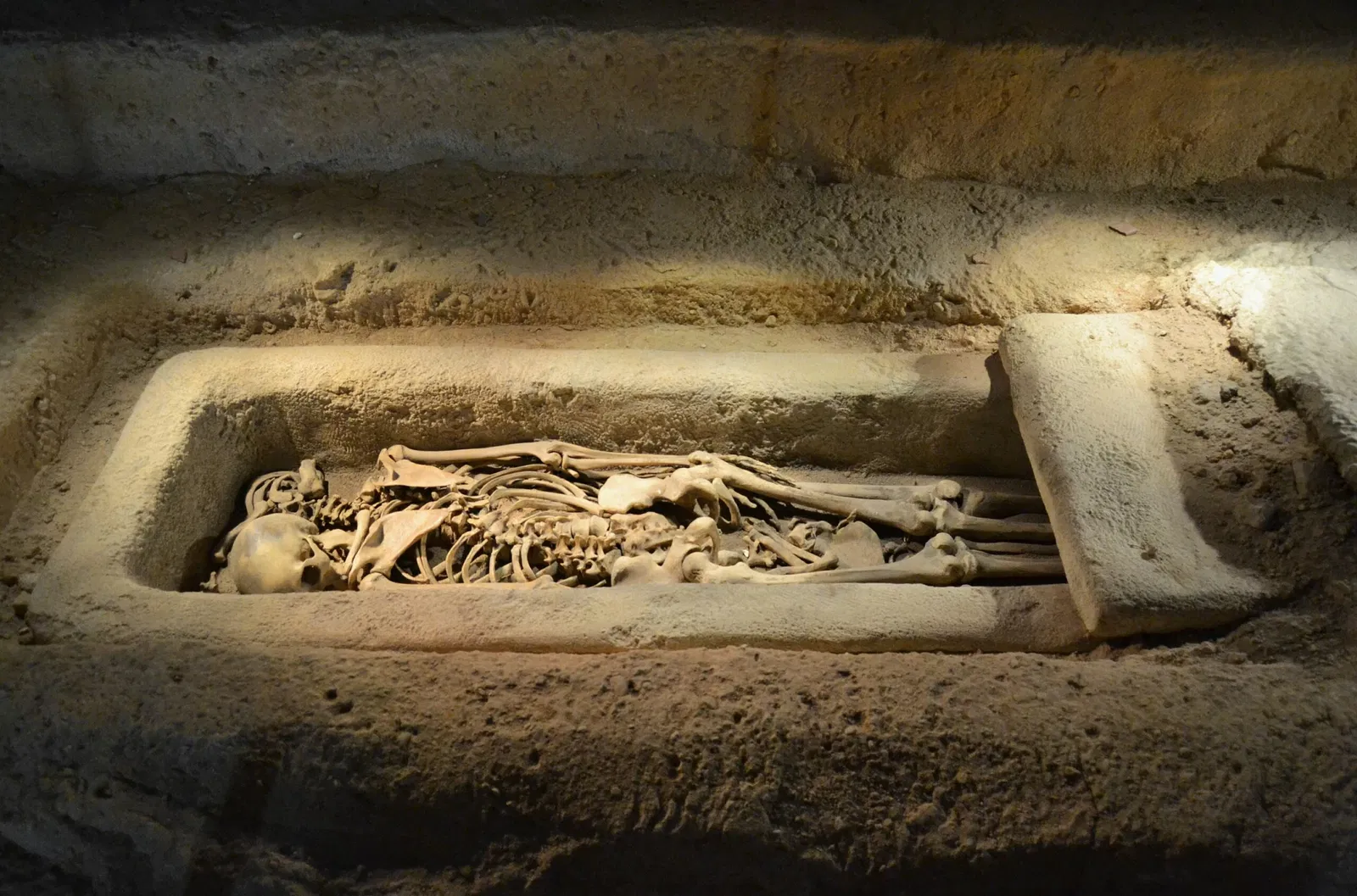 Museo Arqueológico y de Historia de Elche