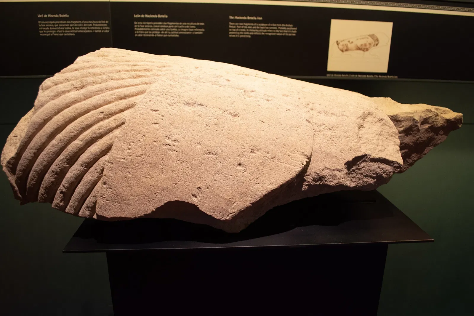 Museo Arqueológico y de Historia de Elche