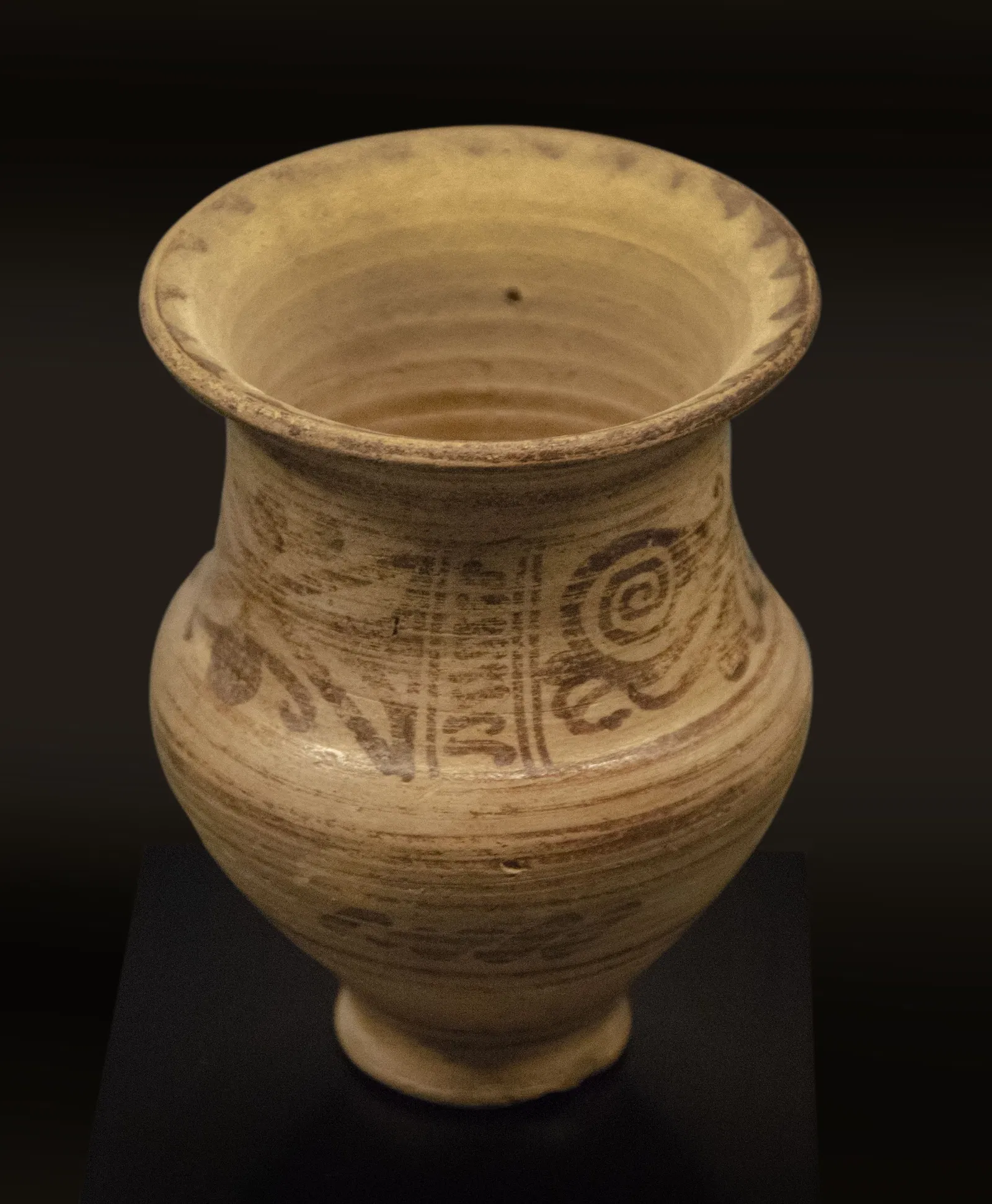 Museo Arqueológico y de Historia de Elche