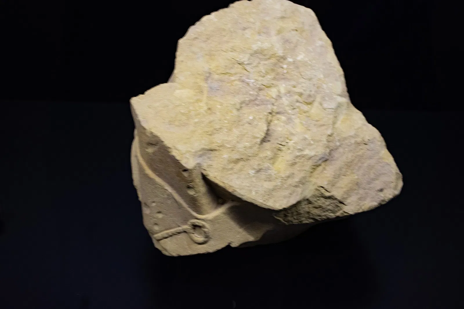 Museo Arqueológico y de Historia de Elche