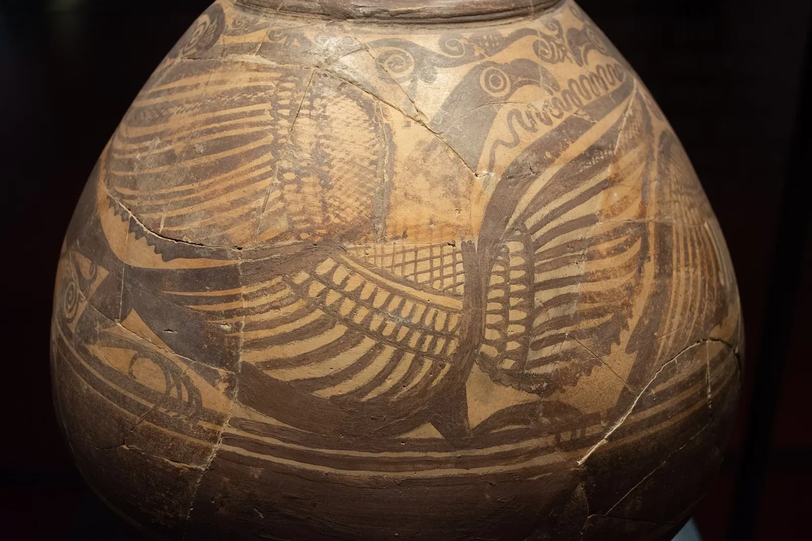 Museo Arqueológico y de Historia de Elche