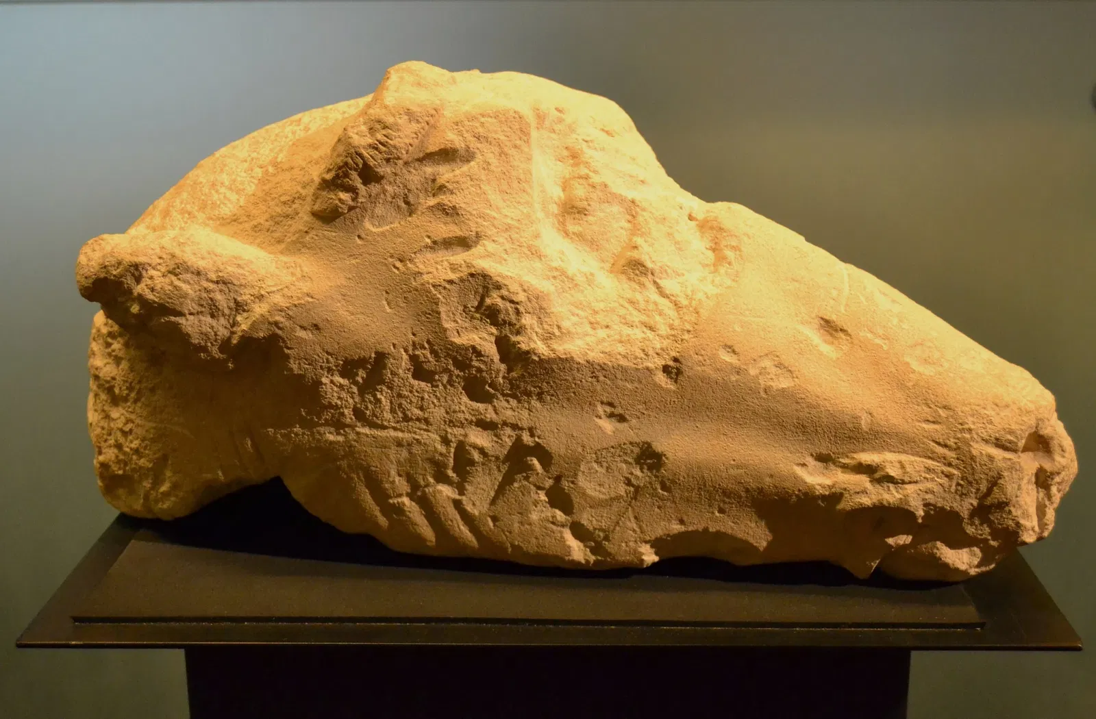 Museo Arqueológico y de Historia de Elche