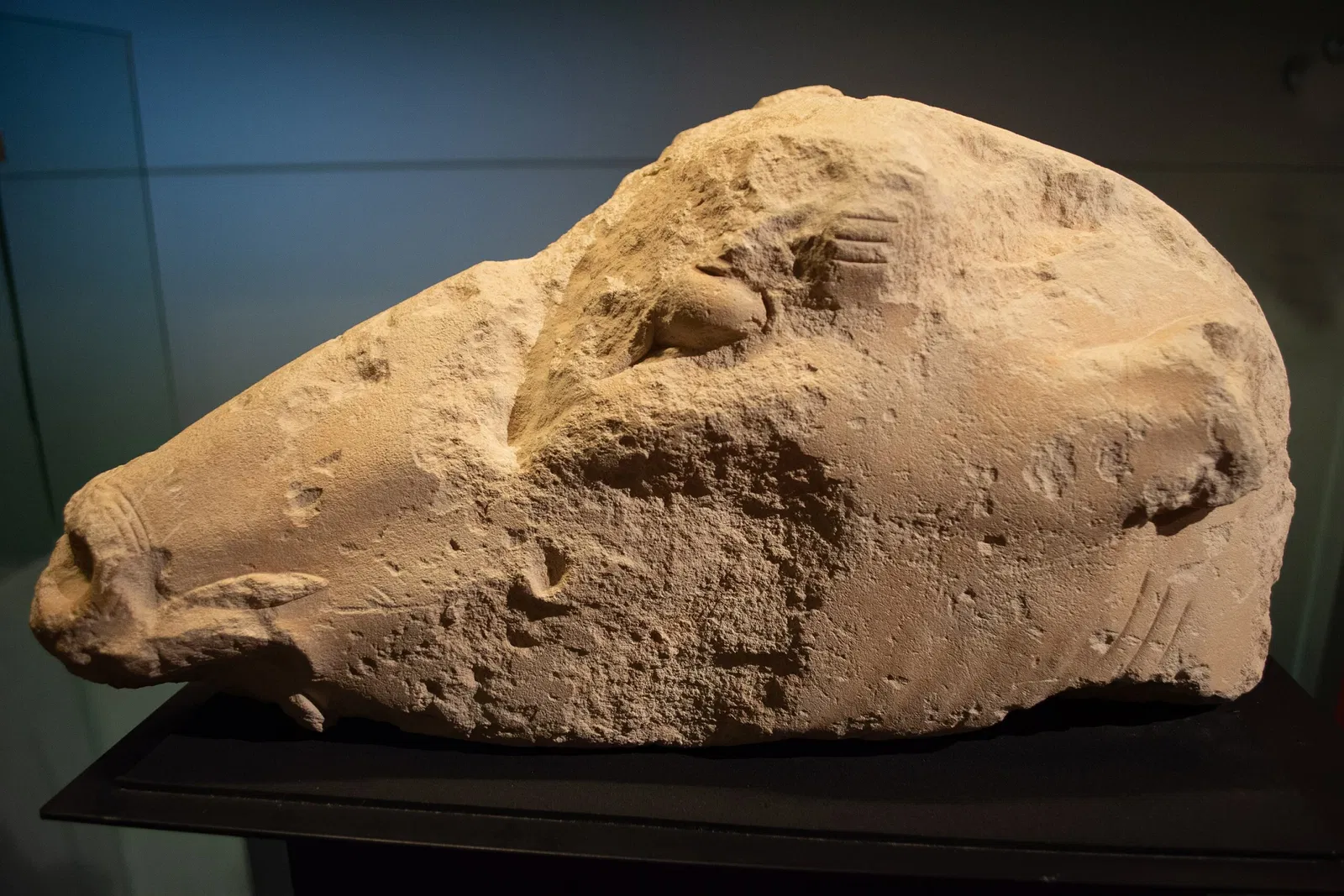 Museo Arqueológico y de Historia de Elche