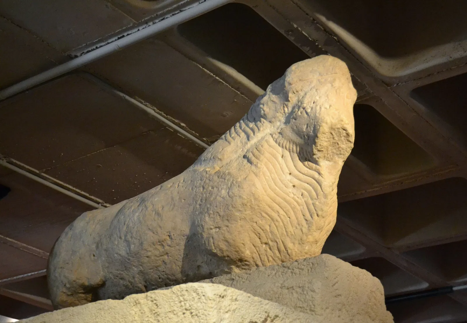 Museo Arqueológico y de Historia de Elche