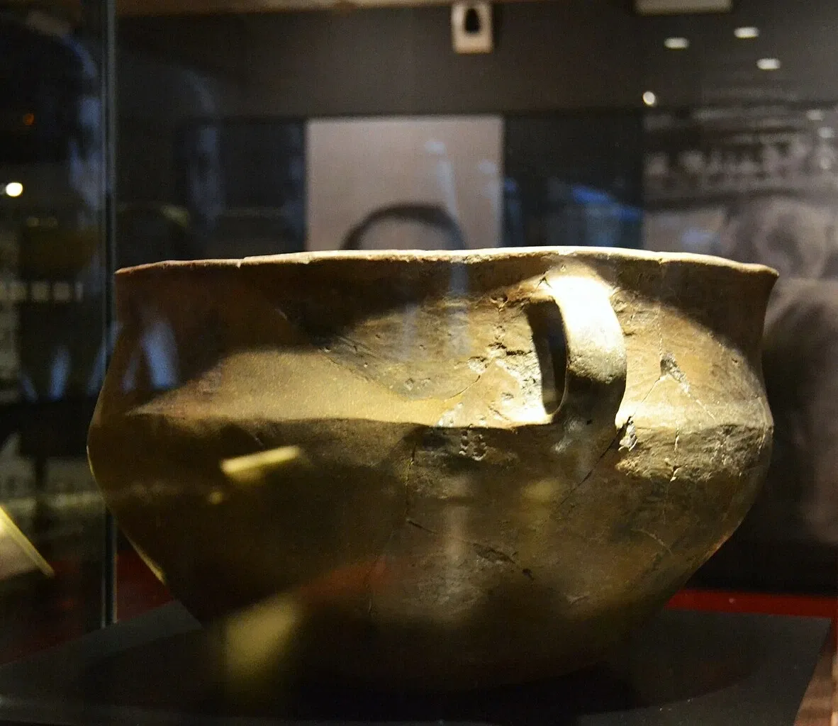 Museo Arqueológico y de Historia de Elche