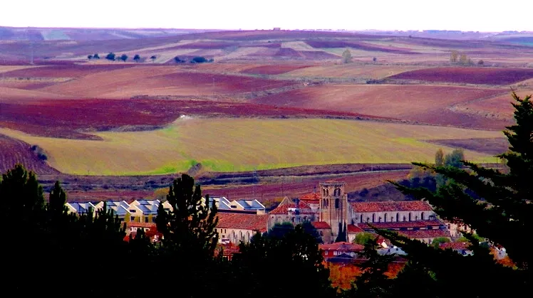 Museo de Telas Medievales