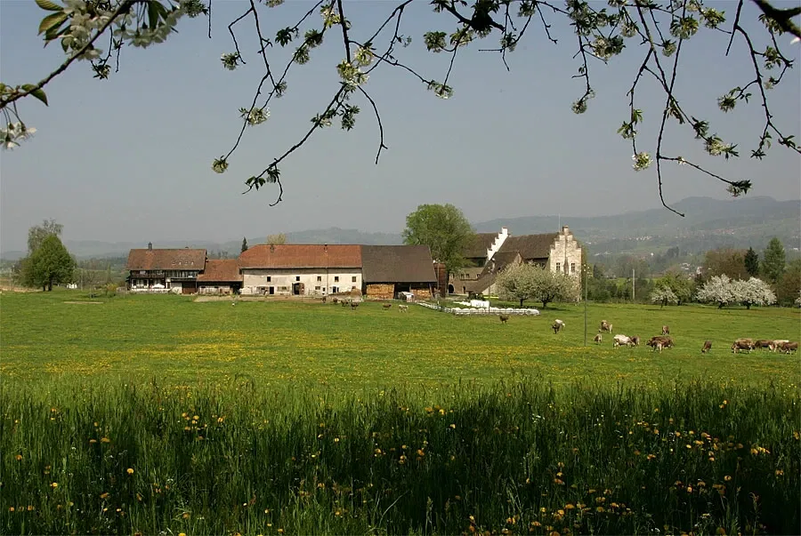 Commanderie de Bubikon