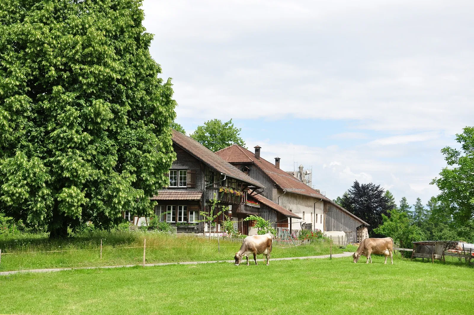 Commanderie de Bubikon