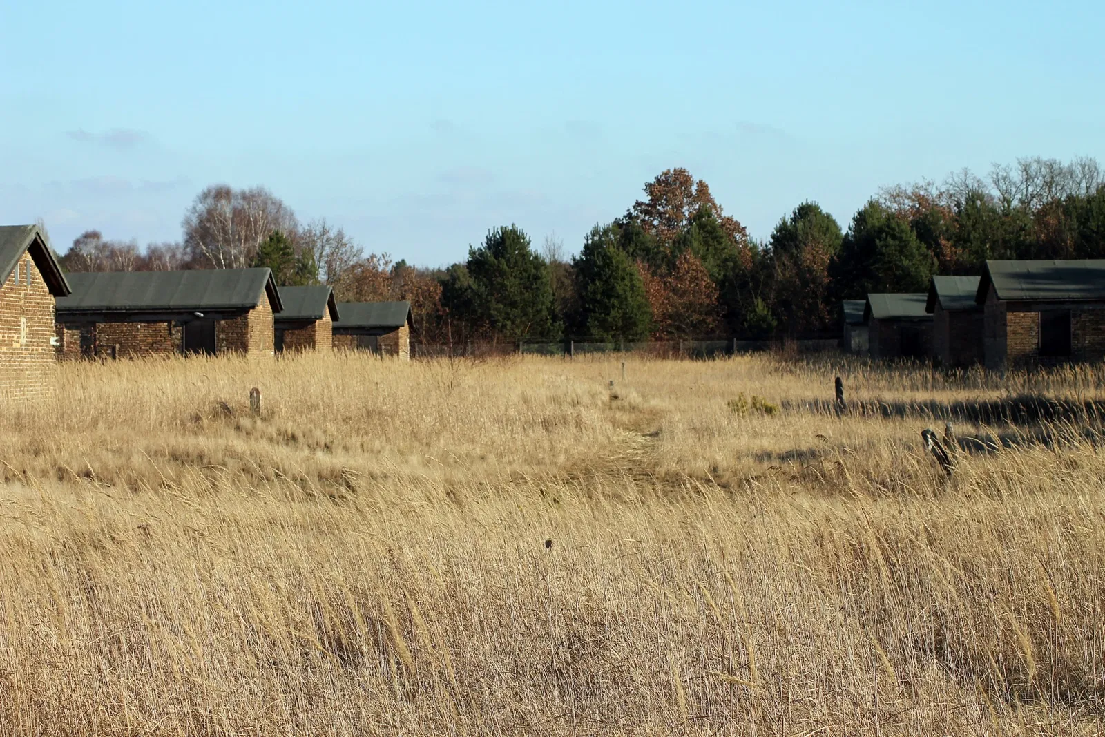 NKVD special camp Nr. 7