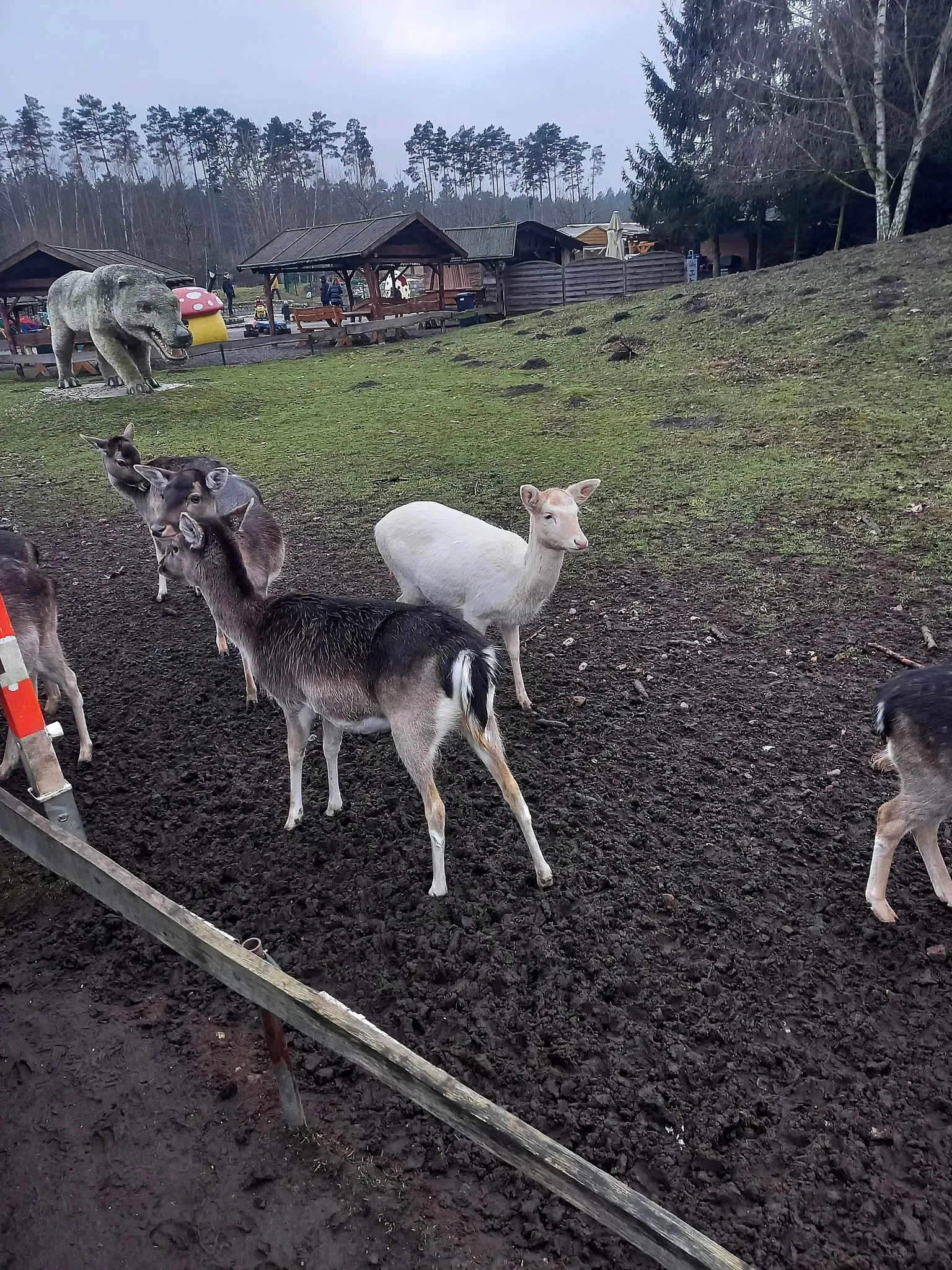 Freizeitpark Germendorf