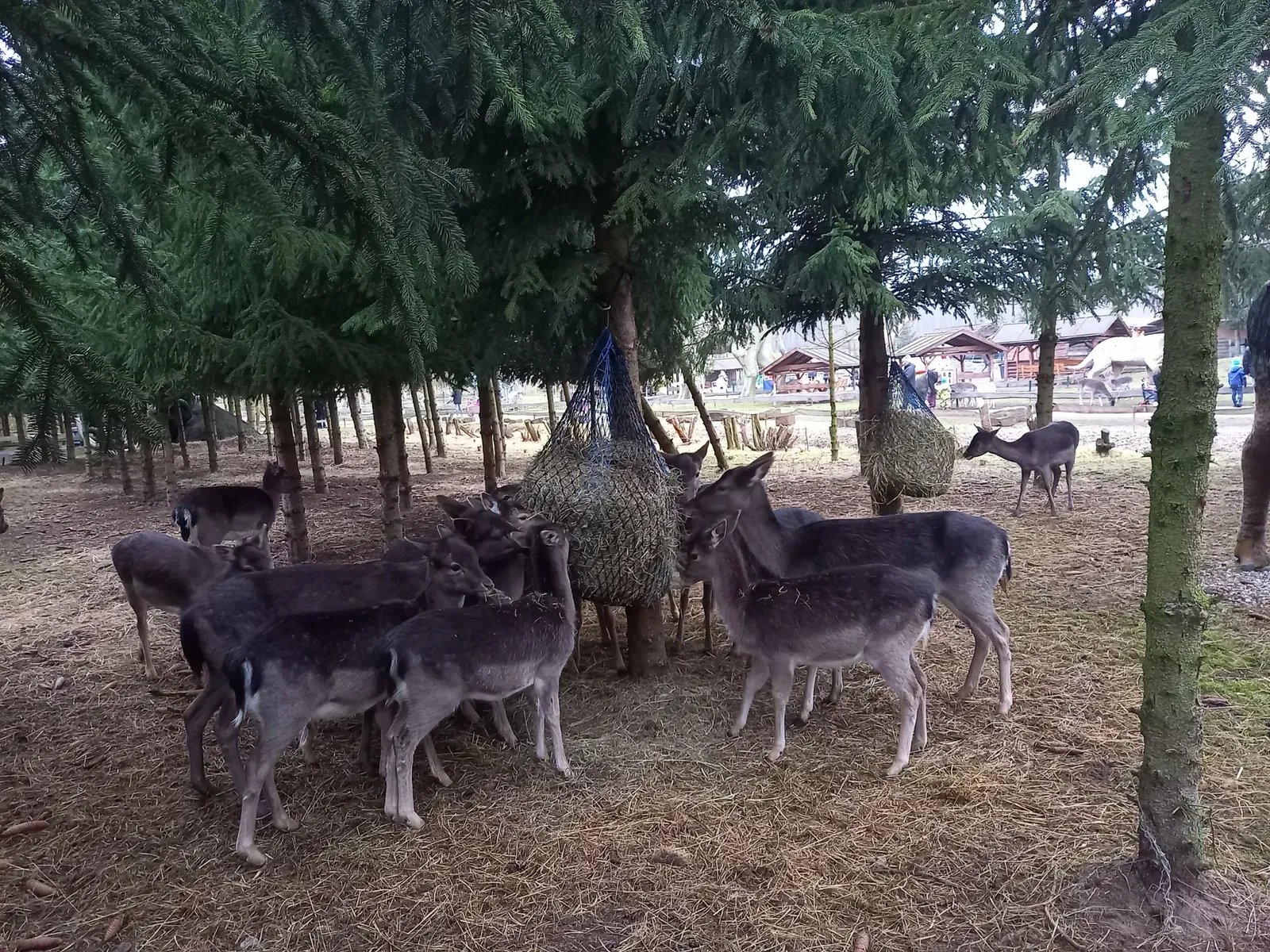 Freizeitpark Germendorf