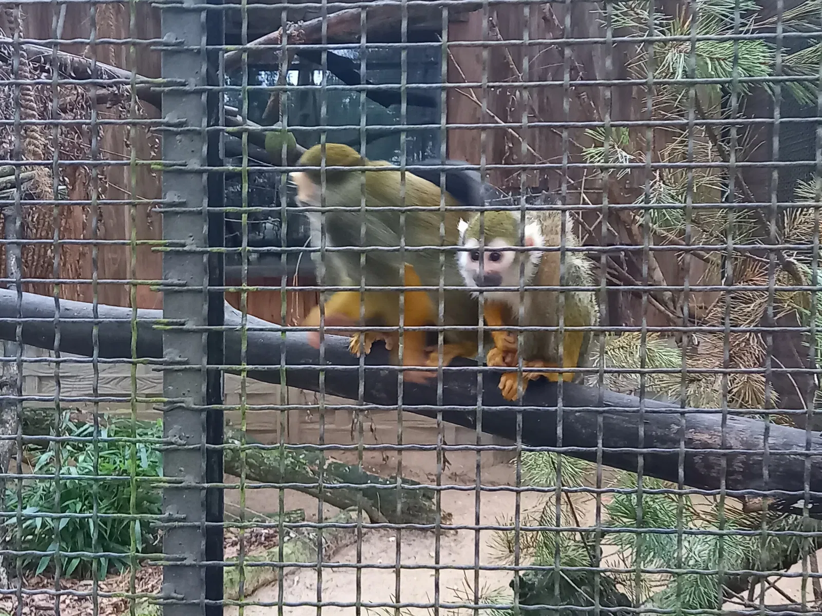 Freizeitpark Germendorf