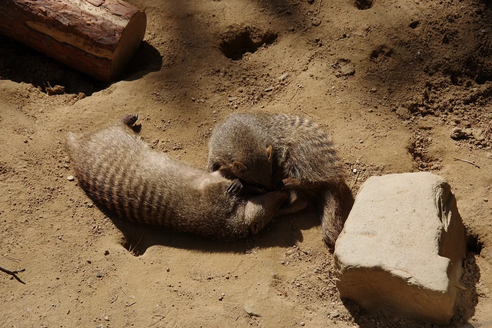 Freizeitpark Germendorf