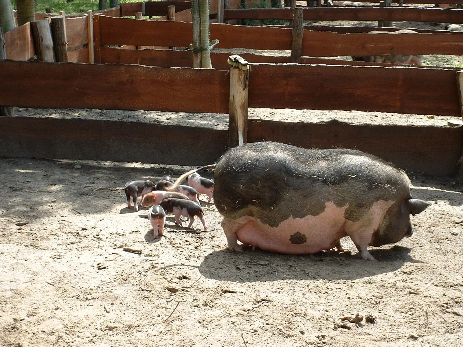 Freizeitpark Germendorf