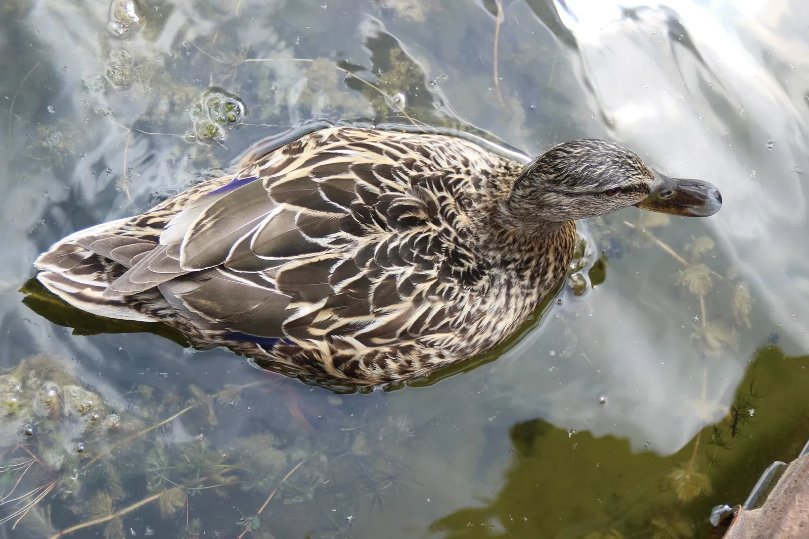 Freizeitpark Germendorf