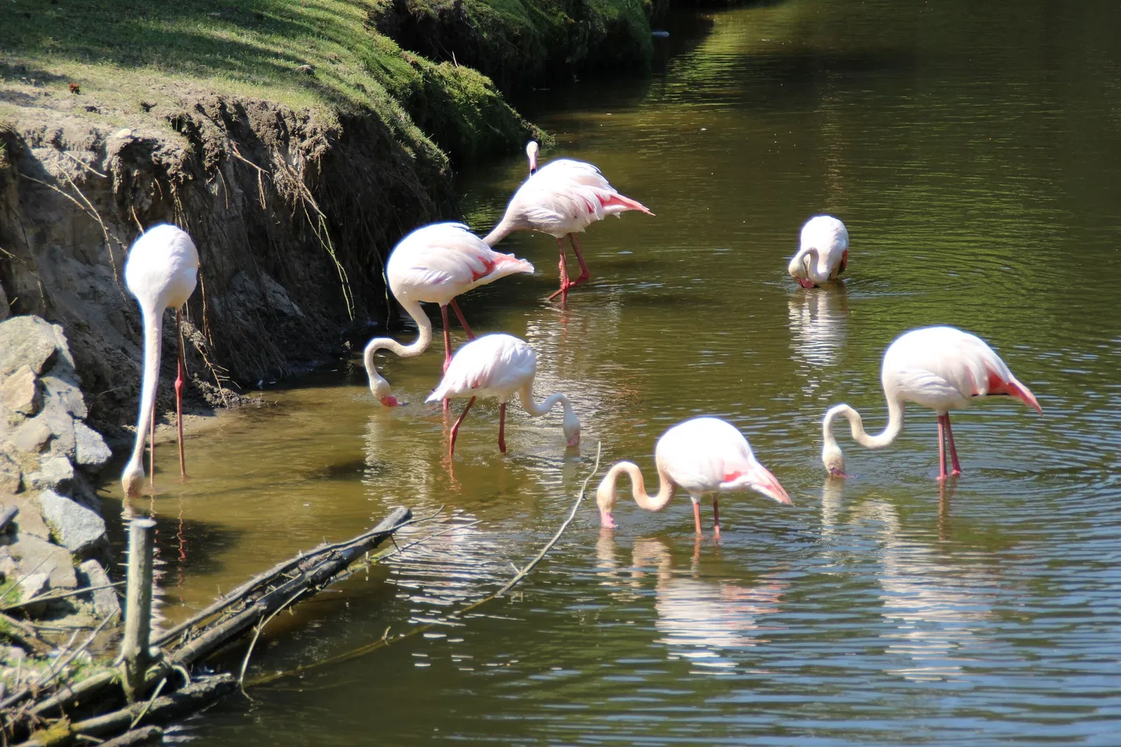 Freizeitpark Germendorf