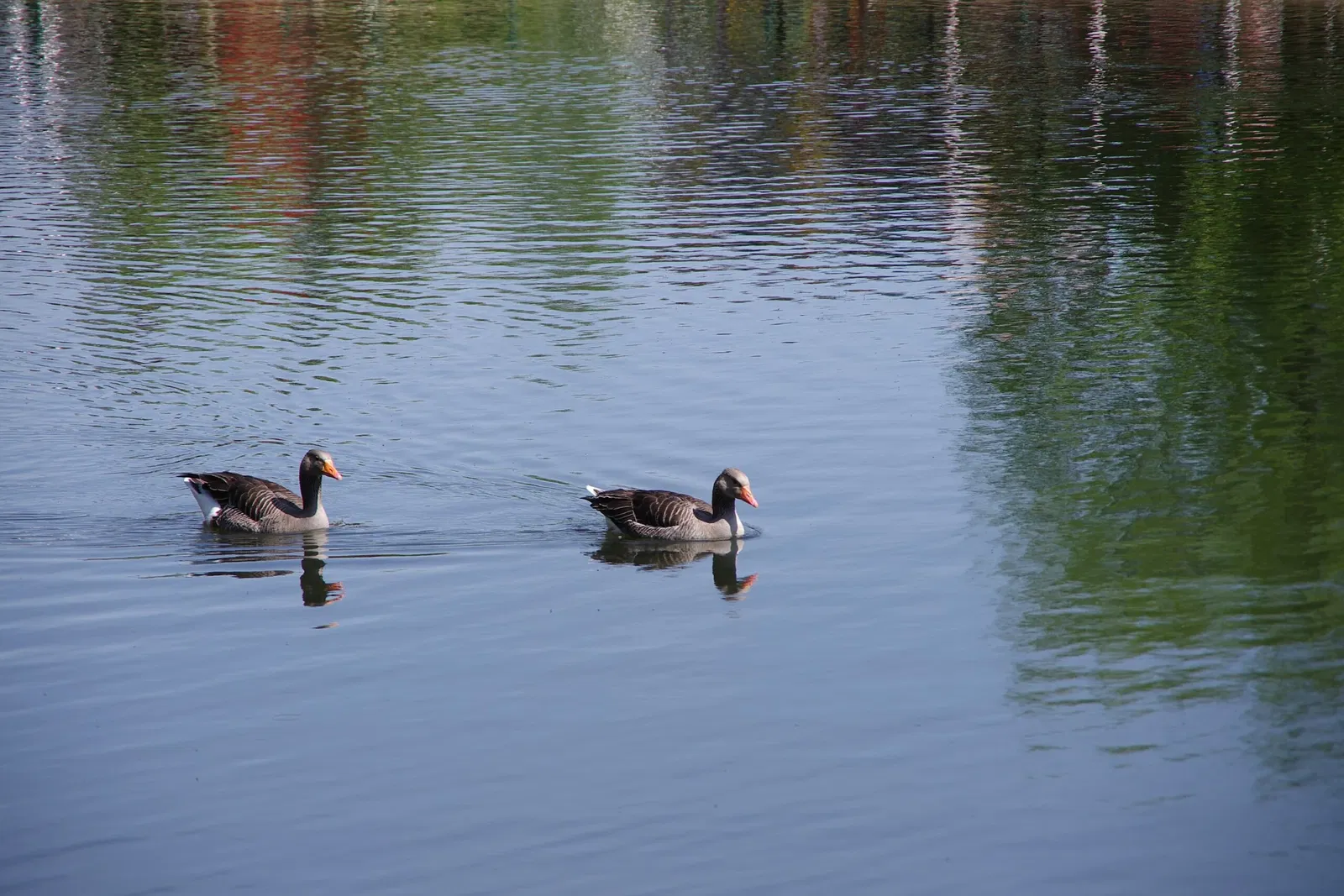 Freizeitpark Germendorf
