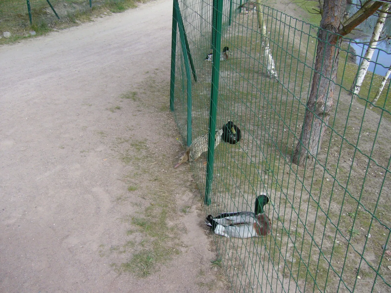 Freizeitpark Germendorf