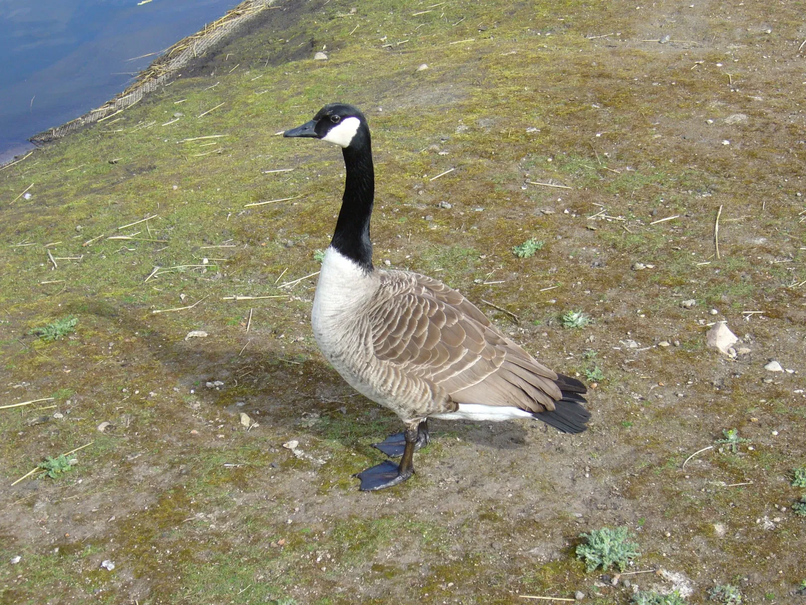 Freizeitpark Germendorf