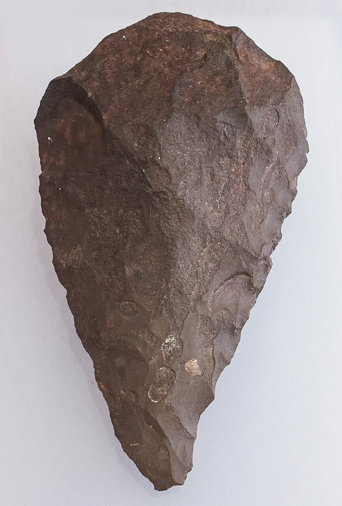 Lippisches Landesmuseum