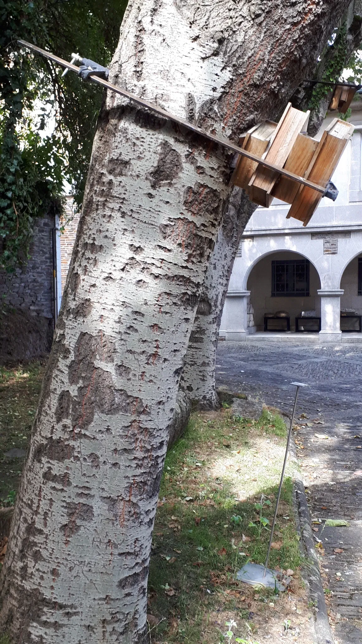 Provincial Museum of Lugo