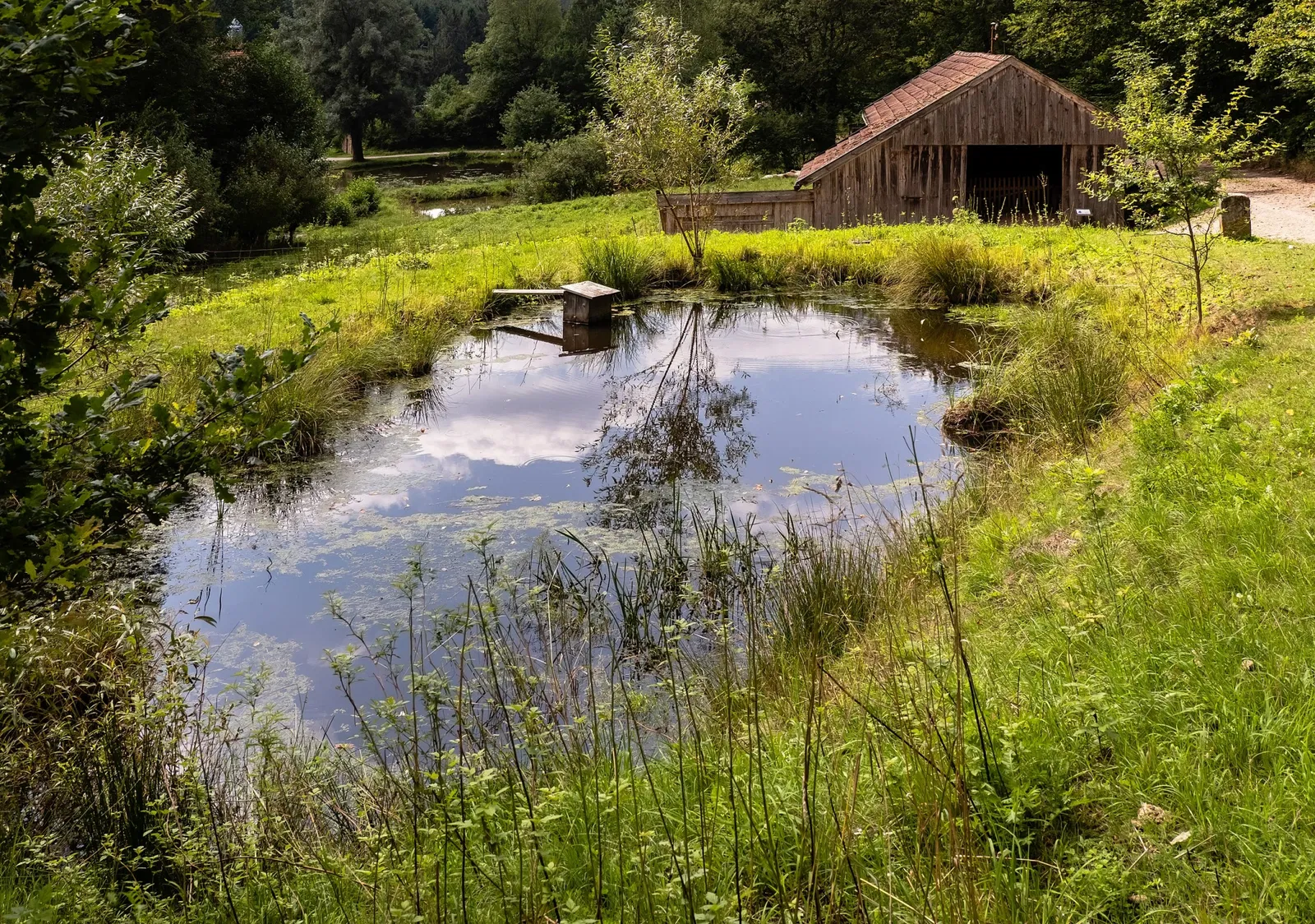 Freilandmuseum Oberpfalz