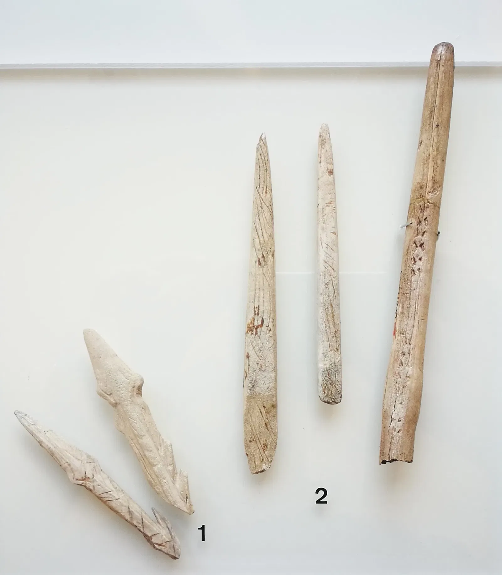 Archäologisches Hegau-Museum