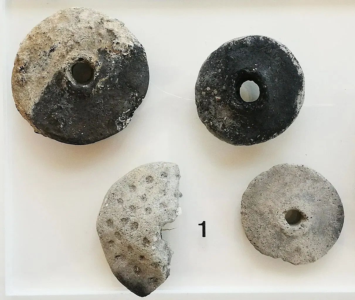 Archäologisches Hegau-Museum