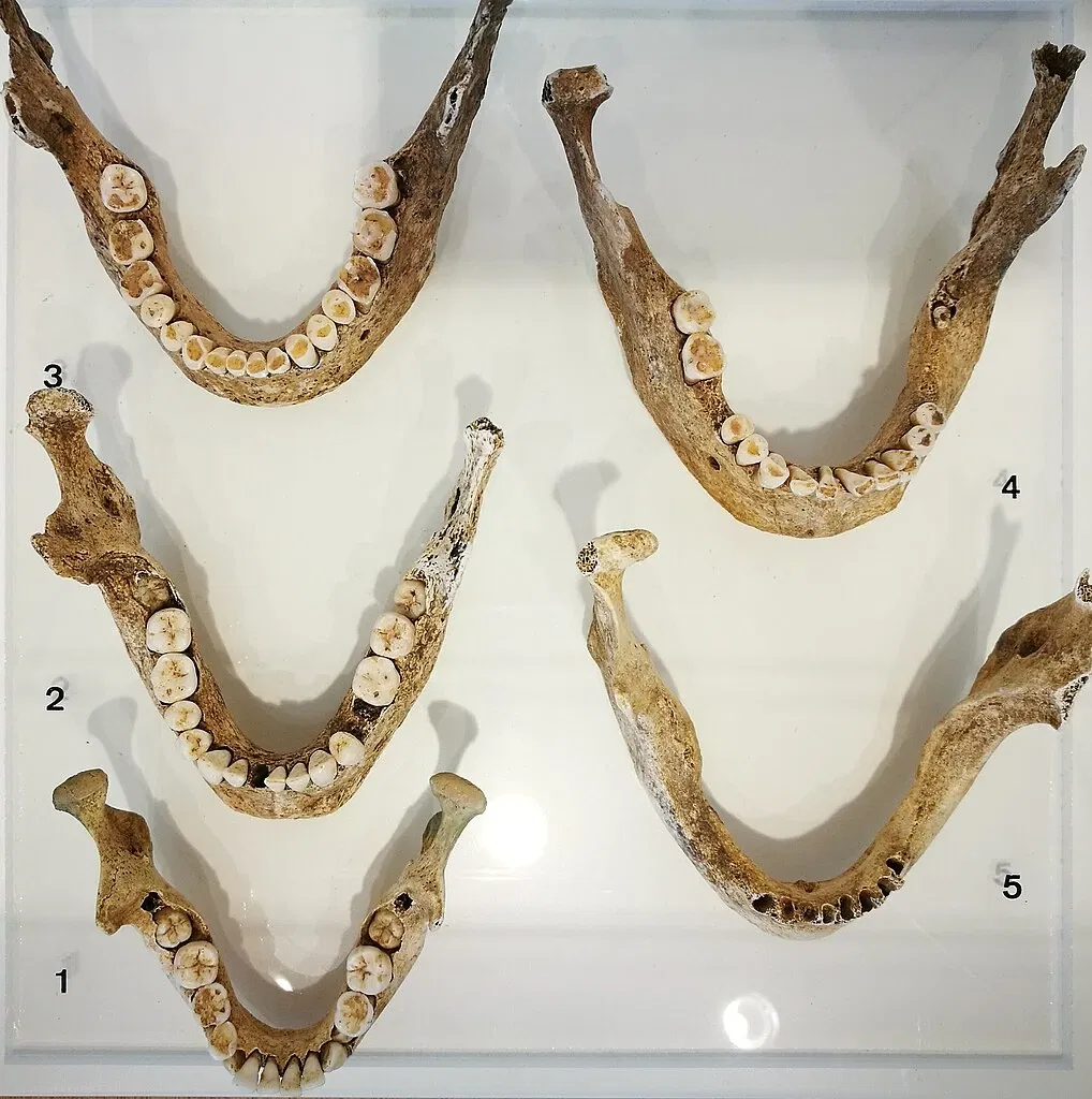 Archäologisches Hegau-Museum