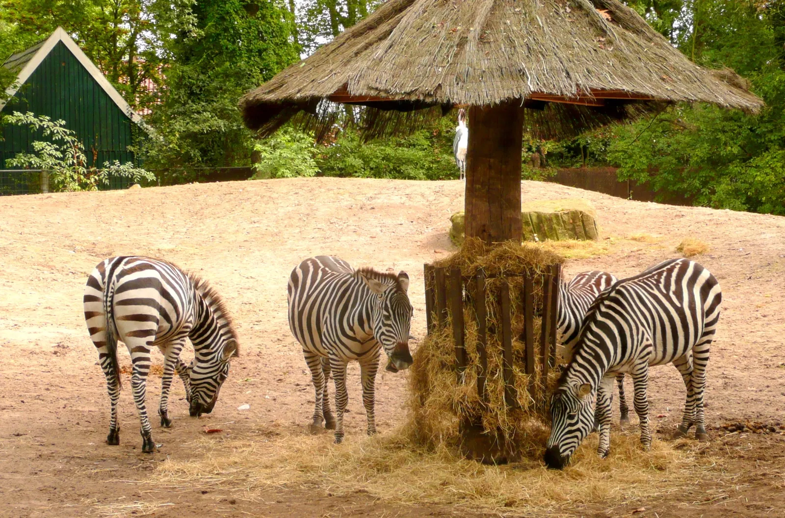Tierpark Nordhorn