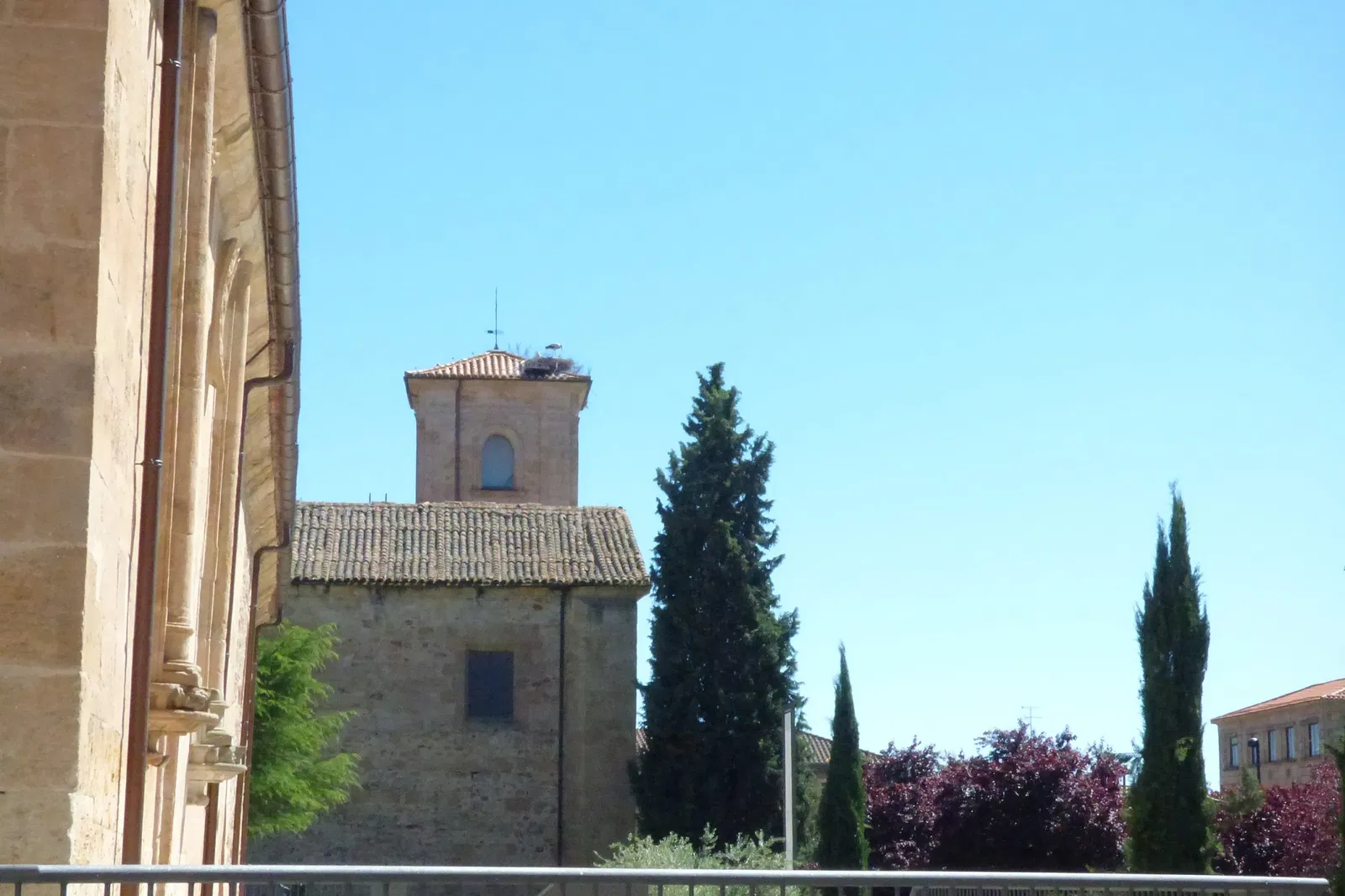 Sala de Exposiciones Santo Domingo de la Cruz