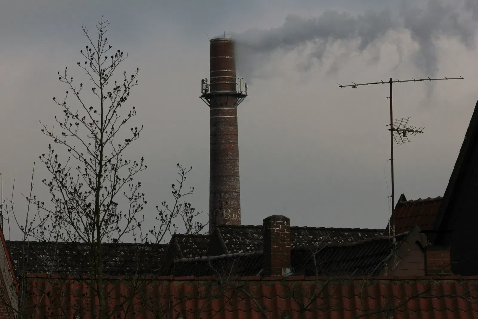 felto - Filzwelt Soltau